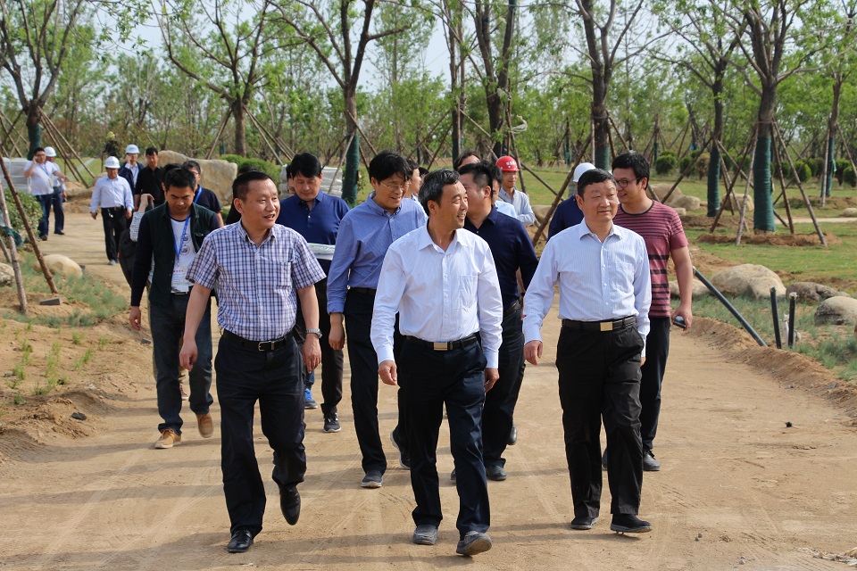 张春阳副主任调研督导苑陵故城遗址公园(园博园c区)项目建设工作