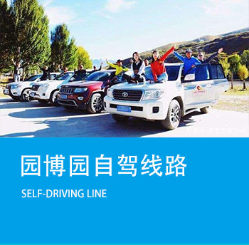 self-driving-line.jpg